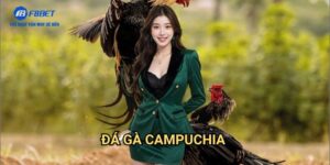 Đá Gà Campuchia F8BET - Sân Chơi Đá Gà Trực Tuyến Đẳng Cấp Quốc Tế