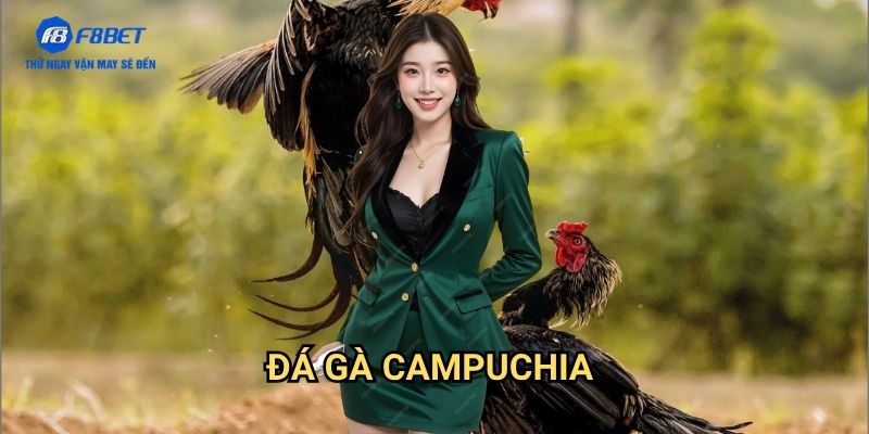 Đá Gà Campuchia F8BET - Sân Chơi Đá Gà Trực Tuyến Đẳng Cấp Quốc Tế