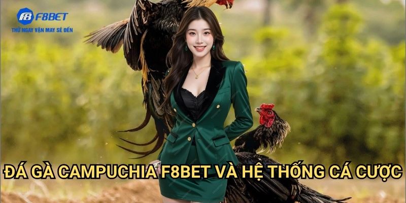 Đá Gà Campuchia F8BET - Sân Chơi Đá Gà Trực Tuyến Đẳng Cấp Quốc Tế 3 Đá Gà Campuchia F8BET Và Hệ Thống Cá Cược
