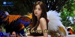 Đá Gà Cựa Sắt F8BET - Đấu Trường Đá Gà Kịch Tính Và Hấp Dẫn