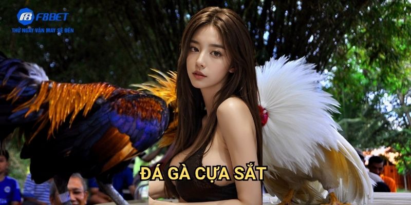 Đá Gà Cựa Sắt F8BET - Đấu Trường Đá Gà Kịch Tính Và Hấp Dẫn 1 Đá Gà Cựa Sắt F8BET - Đấu Trường Đá Gà Kịch Tính Và Hấp Dẫn