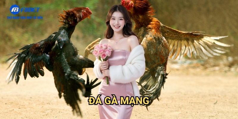 Đá Gà Mạng F8BET - Sân Chơi Cá Cược Gà Trực Tuyến Uy Tín Số 1 1 Đá Gà Mạng F8BET - Sân Chơi Cá Cược Gà Trực Tuyến Uy Tín Số 1