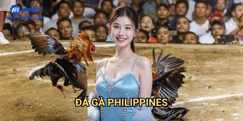 Đá Gà Philippines F8BET - Trải Nghiệm Cá Cược Đá Gà Đỉnh Cao 1 Đá Gà Philippines F8BET - Trải Nghiệm Cá Cược Đá Gà Đỉnh Cao