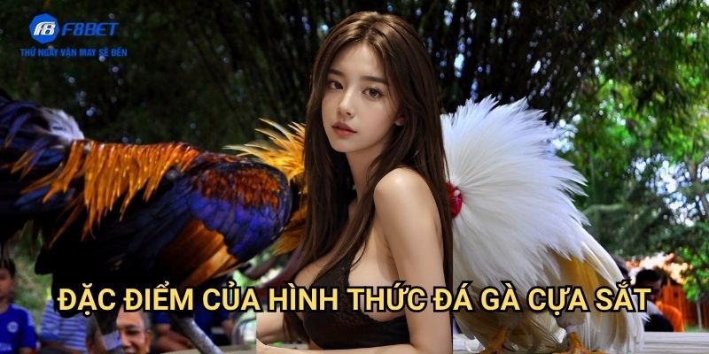 Đá Gà Cựa Sắt F8BET - Đấu Trường Đá Gà Kịch Tính Và Hấp Dẫn 2 Đặc Điểm Của Hình Thức Đá Gà Cựa Sắt