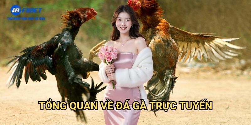 Đá Gà Mạng F8BET - Sân Chơi Cá Cược Gà Trực Tuyến Uy Tín Số 1 2 Tổng Quan Về Đá Gà Trực Tuyến