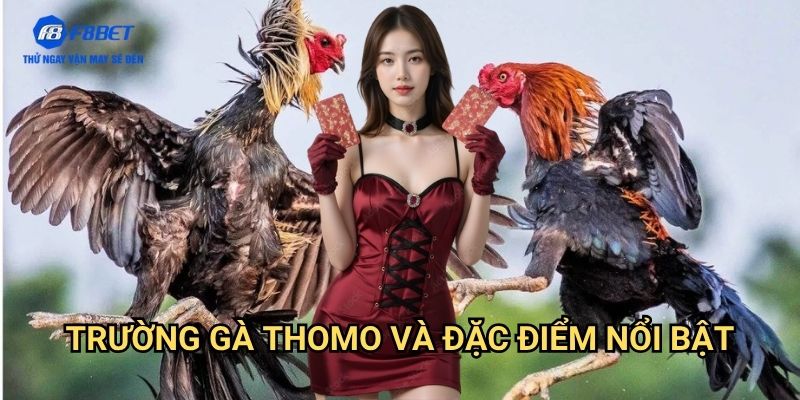 Đá Gà Thomo F8BET - Chơi Đá Gà Online Tại Trường Gà Nổi Tiếng Nhất 2 Trường Gà Thomo Và Đặc Điểm Nổi Bật