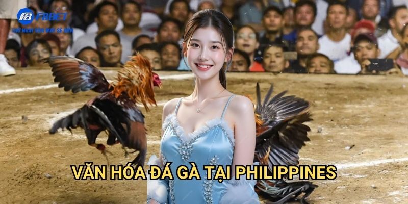 Đá Gà Philippines F8BET - Trải Nghiệm Cá Cược Đá Gà Đỉnh Cao 2 Văn Hóa Đá Gà Tại Philippines
